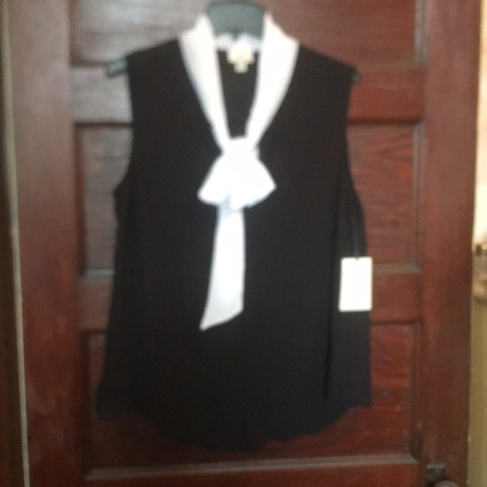 Sheer sleeveless blouse